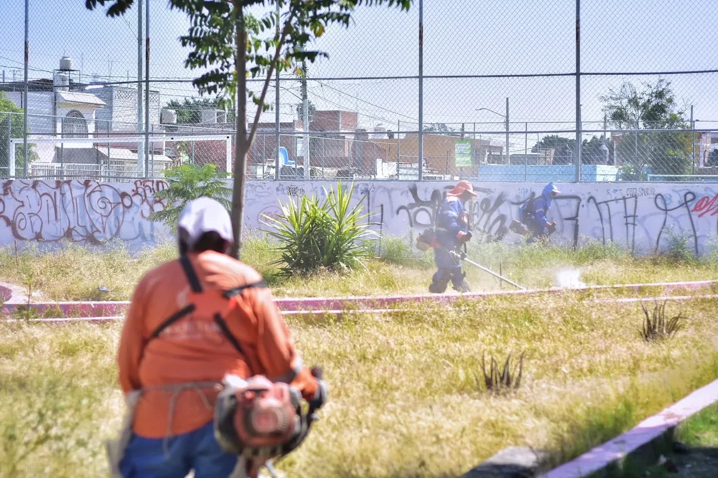 Trabajos de limpieza en el Municipio de Querétaro — imagen 8