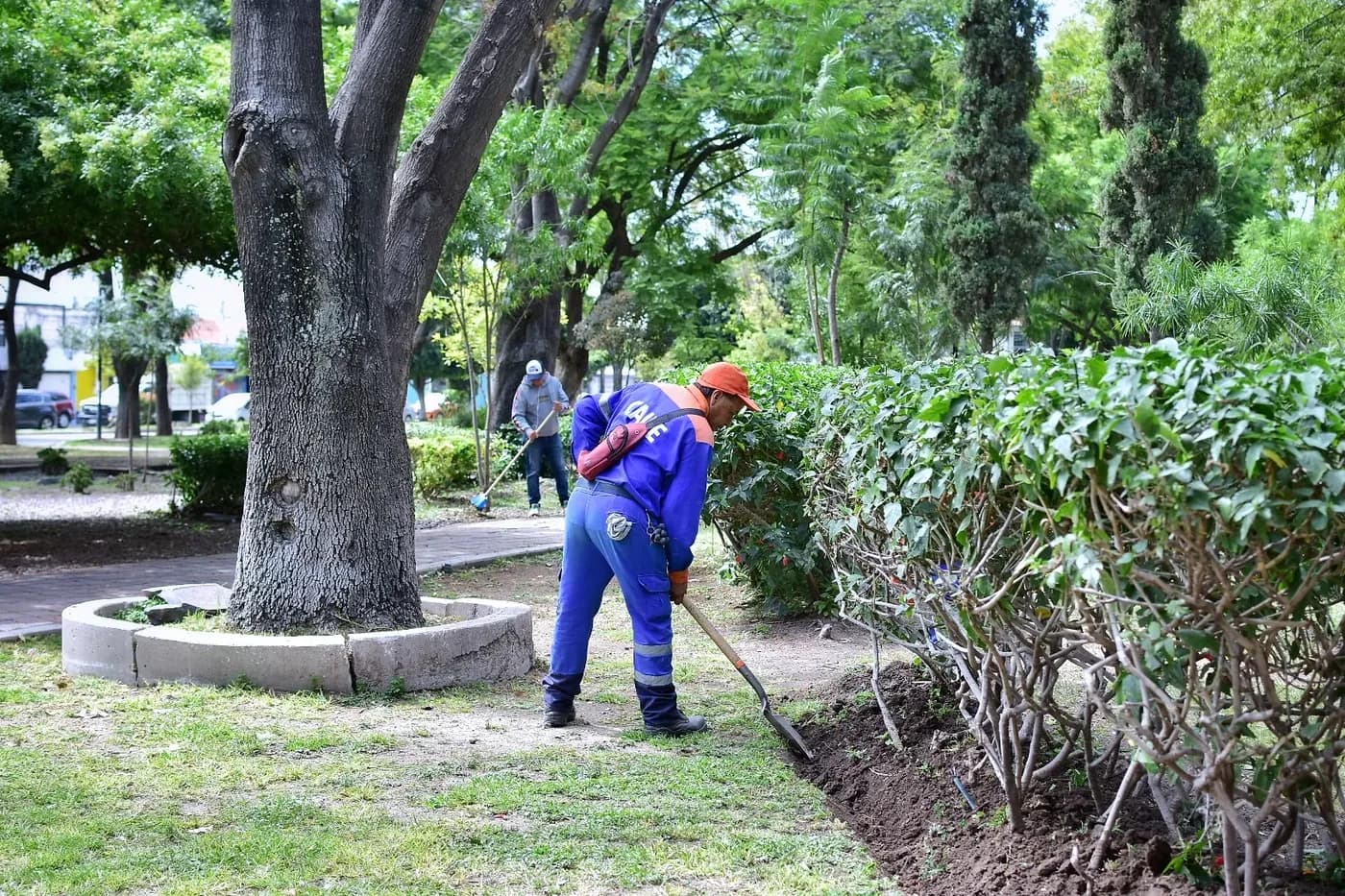 Obras y acciones en barrios y colonias del Municipio de Querétaro — imagen 8